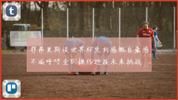 邓弗里斯谈世界杯失利感慨自豪感不减呼吁全队振作迎接未来挑战